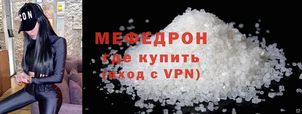 соль ск Ельня