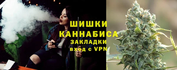 стафф Елизово