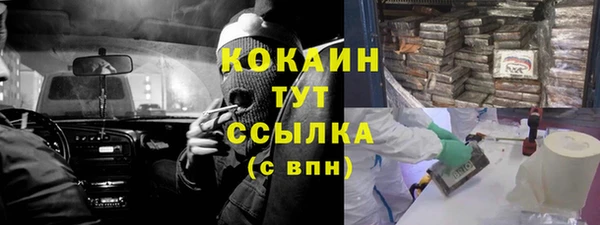 стафф Елизово