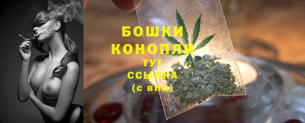 соль ск Ельня