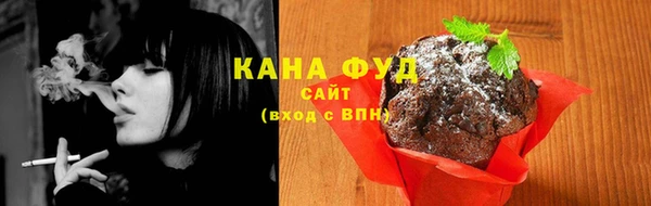 соль ск Ельня