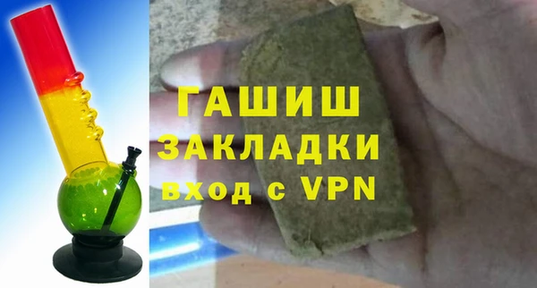 соль ск Ельня