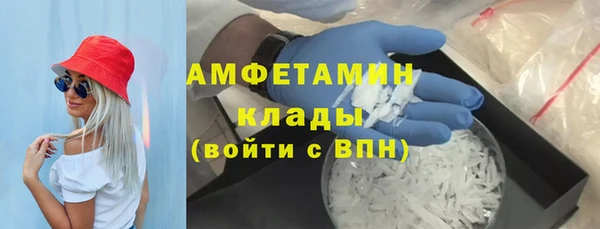 стафф Елизово