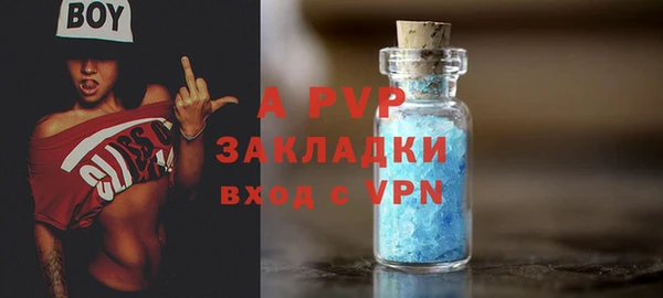 соль ск Ельня