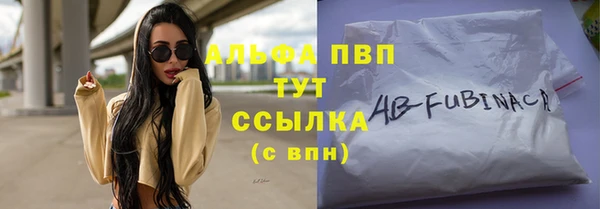 стафф Елизово