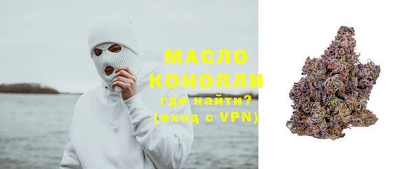 соль ск Ельня