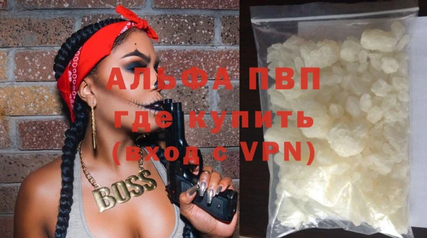 стафф Елизово