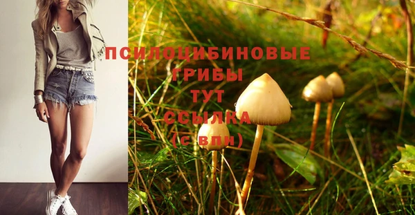 стафф Елизово