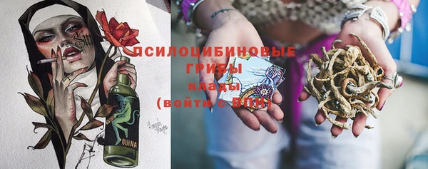spice Елабуга
