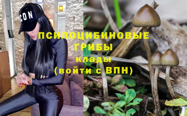 соль ск Ельня