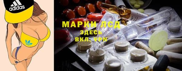 стафф Елизово
