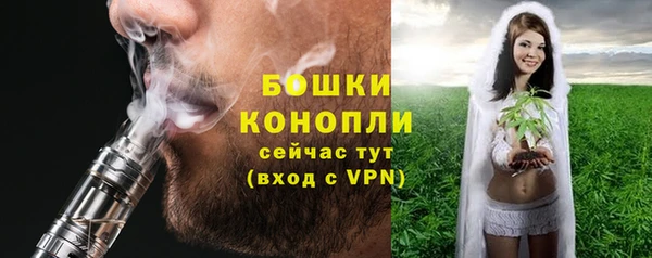 соль ск Ельня