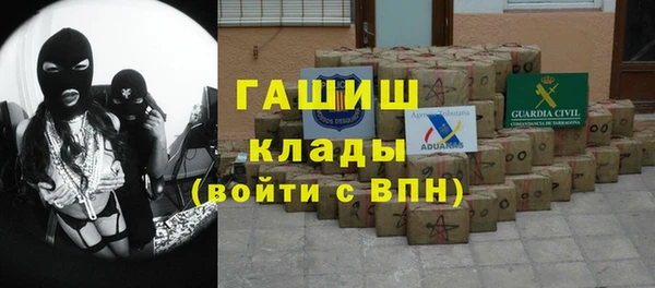 соль ск Ельня